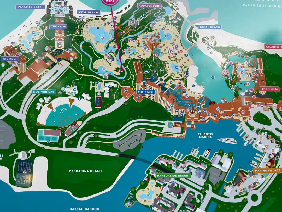 【EV扑克】Triton_Bahamas_x_WSOP_Paradise_2025:高额扑克今年12月邂逅海岛奢华